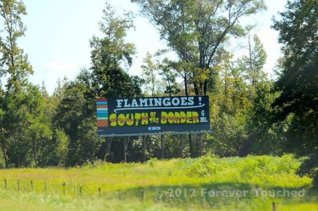 South of the Border Flamingoes Billboard
